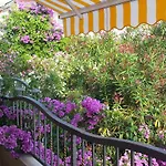 Maruska I Jana Apartman Orebić