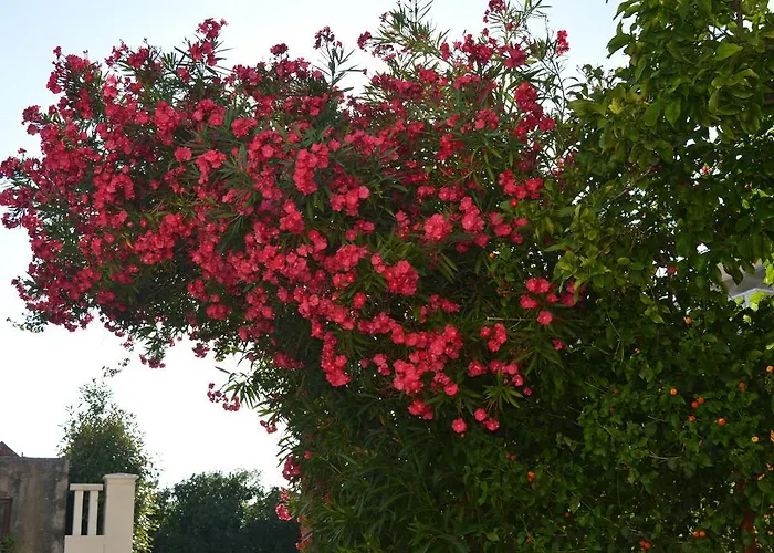 아파트 Maruska I Jana *